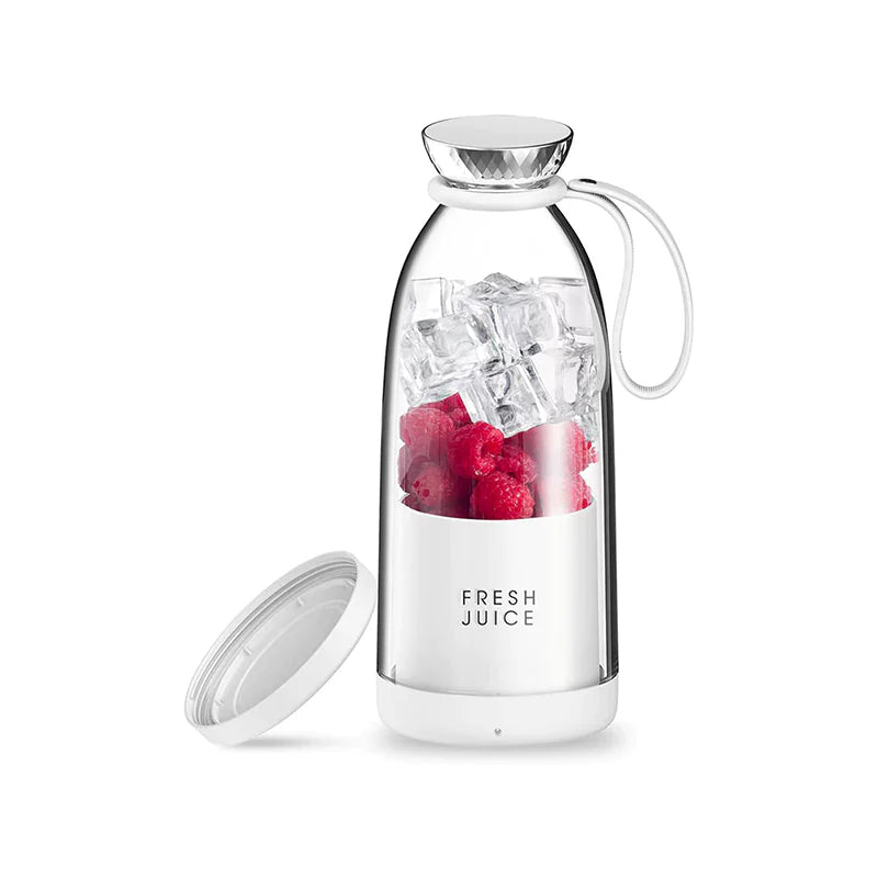 Fruit Blender 500ml - Y03