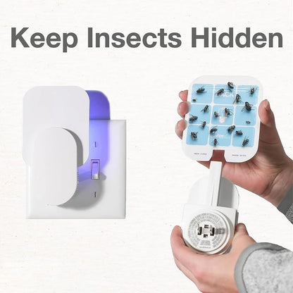 Multi Insect Indoor Fly Trap Killer