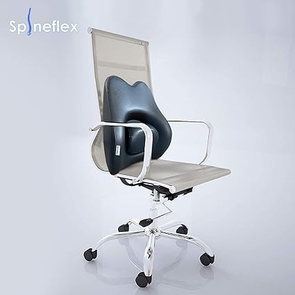 Adjustable and Rotatable Back Cushion - CHP09