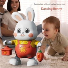 Dancing Rabbit - 601014