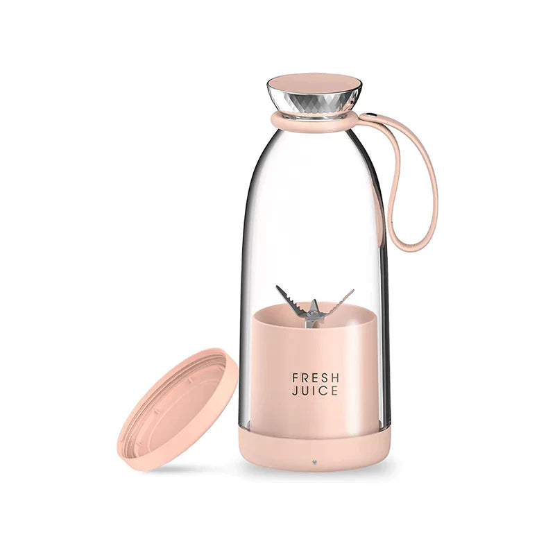 Fruit Blender 500ml - Y03
