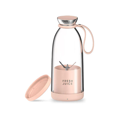 Fruit Blender 500ml - Y03